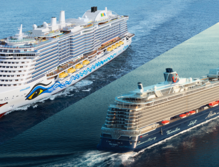 Aida oder Mein Schiff von Tui? Unser ausführlicher Vergleich hilft Ihnen dabei, sich für eine Reederei für Ihre Kreuzfahrt zu entscheiden.